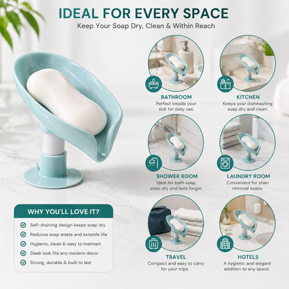 Quick Drain Soap Dish with Suction Base (Sample)