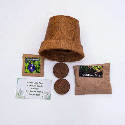 Eco-Friendly Plantable Mini Grow Kit Set