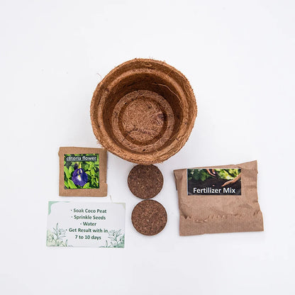 Eco-Friendly Plantable Mini Grow Kit Set