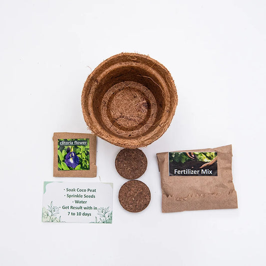 Eco-Friendly Plantable Mini Grow Kit Set