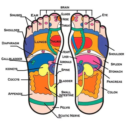 Macadve™ Acupressure Therapy Sandal